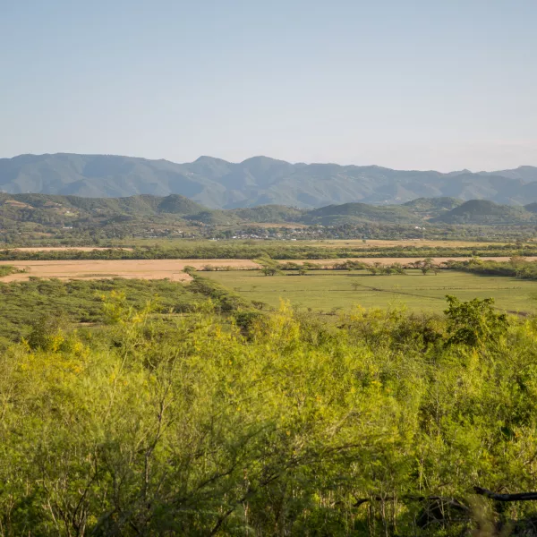 Vista panorámica de los llanos y paisajes naturales de Lajas.