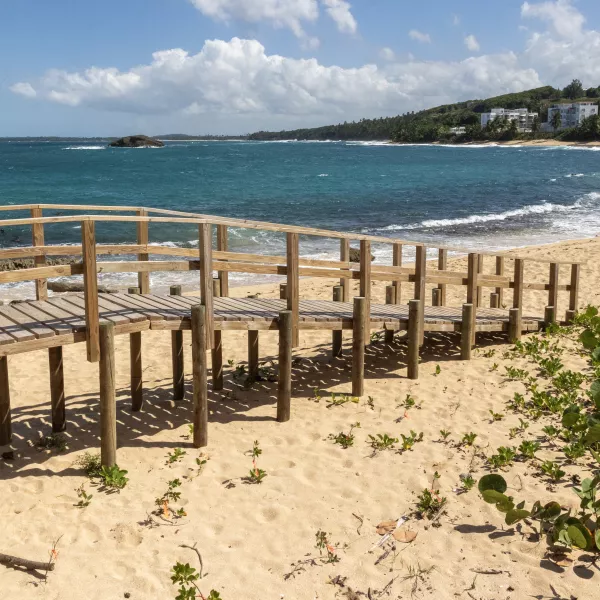 MANATI MAR CHIQUITA