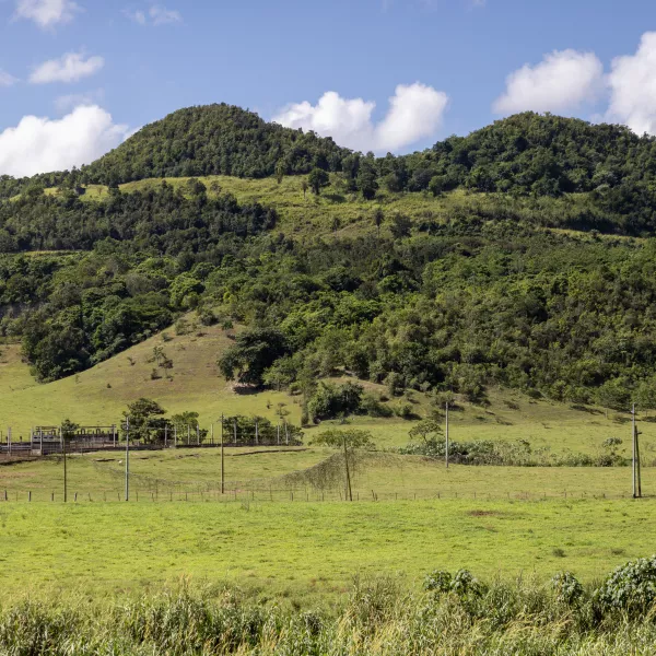 MANATI RIO DE MANATI 