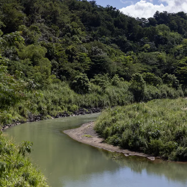 MANATI RIO DE MANATI 