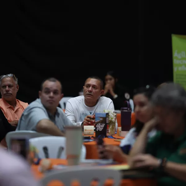 TALLER NARANJITO