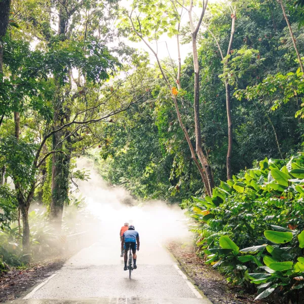 Two cyclists riding along a misty road through the lush rainforest of El Yunque National Forest in Puerto Rico, surrounded by dense tropical greenery.