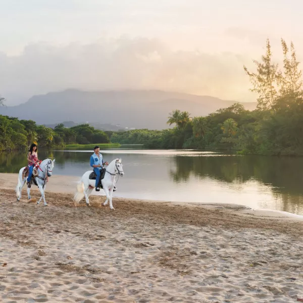 Dos personas montando caballos Paso Fino blancos a lo largo de una orilla arenosa al atardecer, rodeados de árboles tropicales y montañas en Puerto Rico.