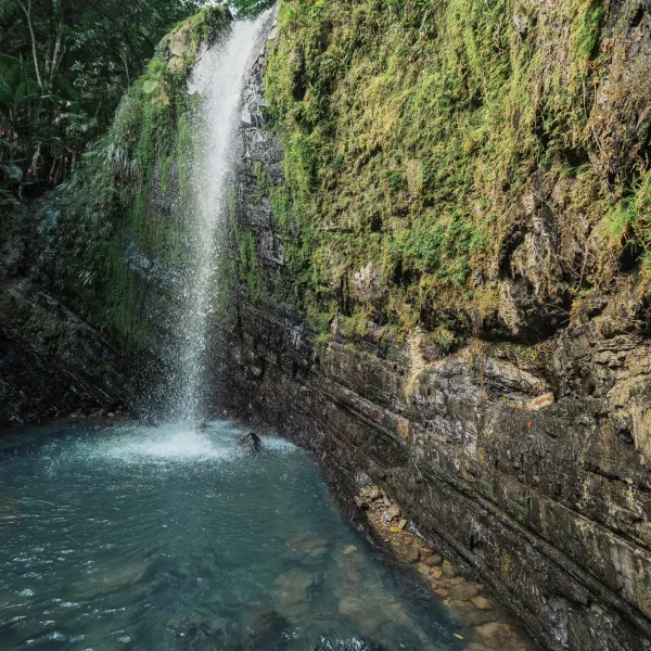 Waterfall at El Yunque 