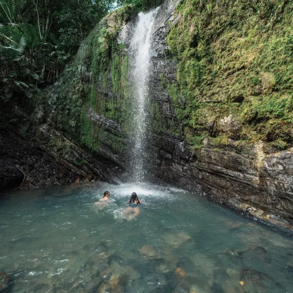 El Yunque Rainforest Waterfall