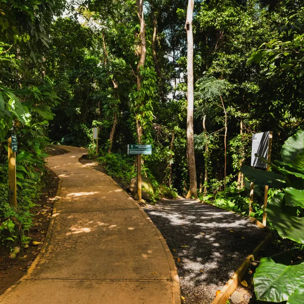 PORTAL DEL YUNQUE