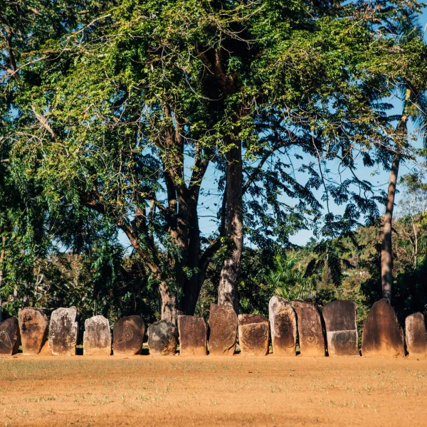 A row of upright carved stone monoliths stands on a grassy clearing at Parque Ceremonial Caguana, surrounded by lush tropical trees and hills under a clear blue sky.