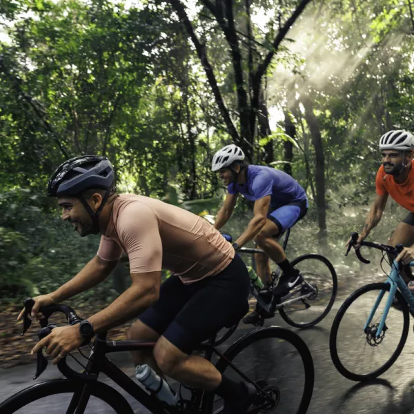 Three cyclists ride along a winding forest path at El Yunque National Forest, surrounded by lush greenery and dappled sunlight filtering through the trees.