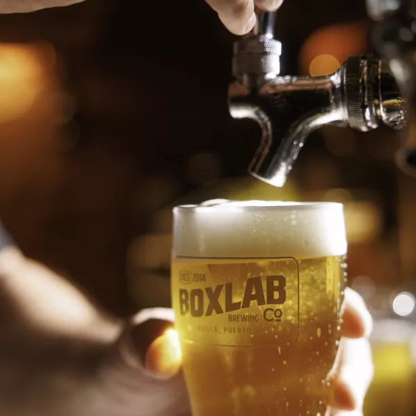 A bartender pours a golden beer into a branded glass at Box Lab Brewing. The background features blurred lights and brewing equipment.