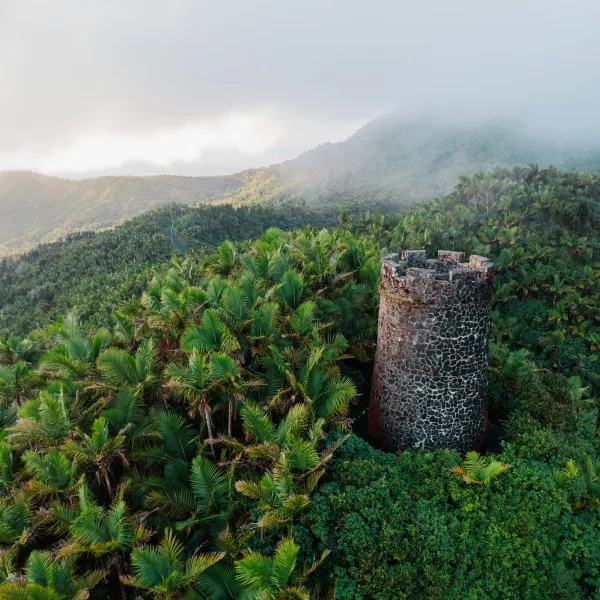 Yocahú Tower rising above the dense tropical forest in El Yunque, surrounded by lush palm canopy and mist-covered mountains in the background.