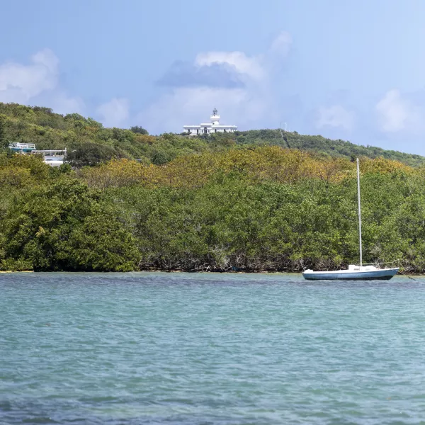 Fajardo