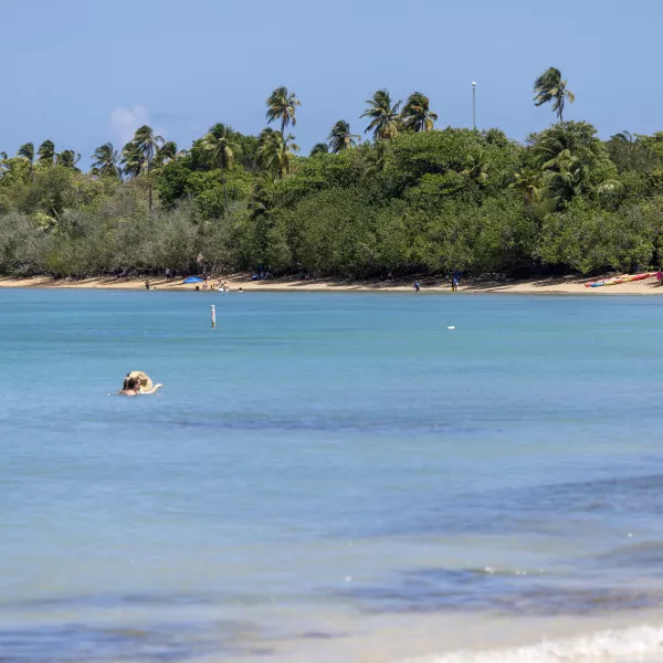 Fajardo
