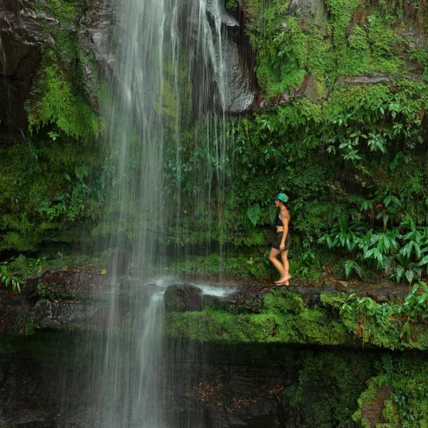 There's a woman walking at El Yunque, filled with greenery, passing behind a waterfall.
