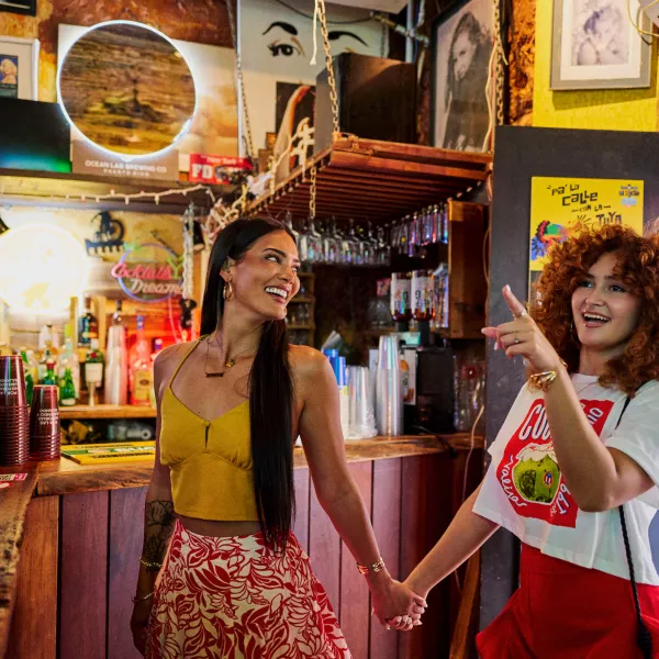Couple of women holding hands in a bar.