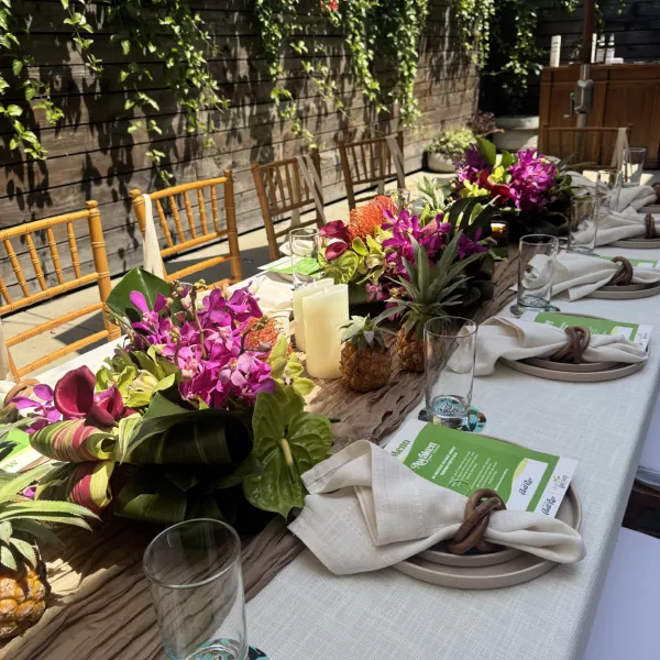 Sensory dinners