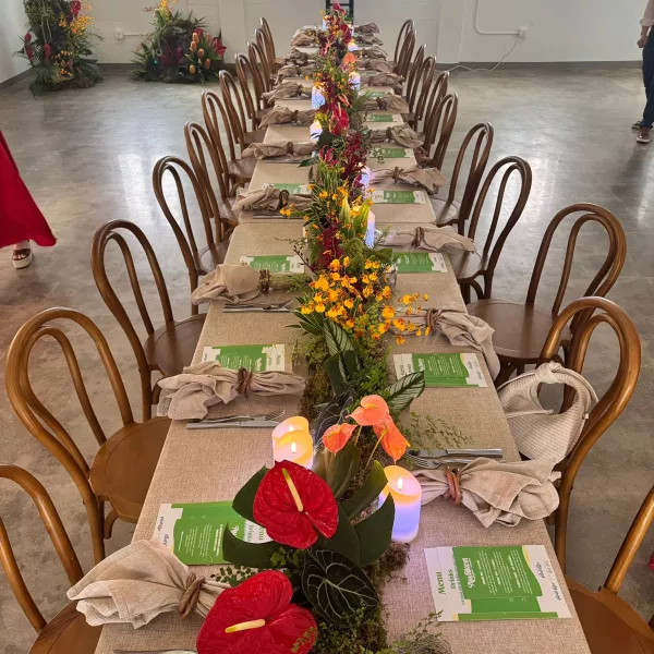 Sensory dinners