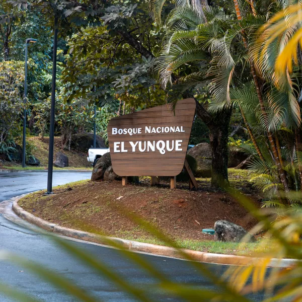 Letrero de entrada de El Yunque National Forest rodeado de abundante vegetación tropical junto a una carretera en Río Grande, Puerto Rico.