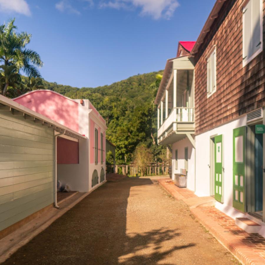 Hacienda Buena Vista en Ponce es un área natural protegida que incluye una de las haciendas cafetaleras y frutícolas menores más importantes.