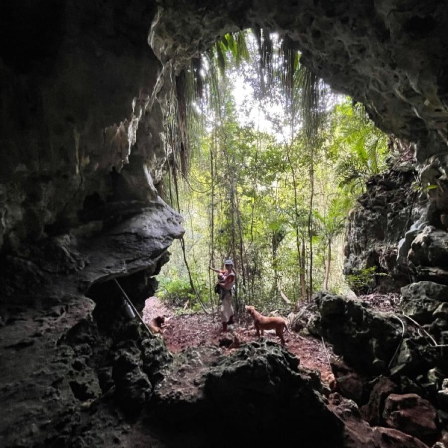 Mujer en cueva con perros en Finca Gaia.