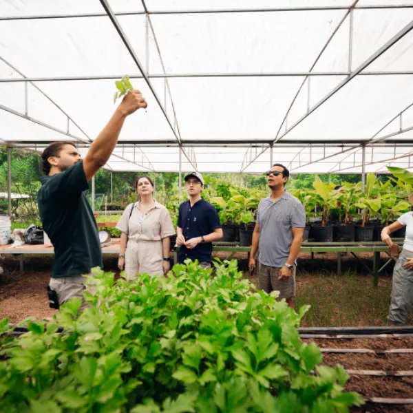 Travelers participate in an agricultural tour inside a greenhouse at Finca La Zafra.