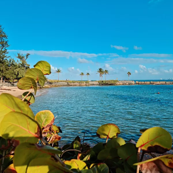 View of El Escambrón beach in San Juan, great place for snorkeling and swimming activities in San Juan.