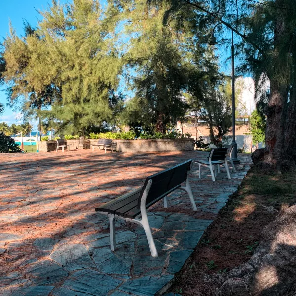 Área sombreada del Parque Luis Muñoz Rivera en San Juan, con bancos rodeados de árboles frondosos y vistas al océano, ideal para relajarse y disfrutar de una pausa al aire libre.