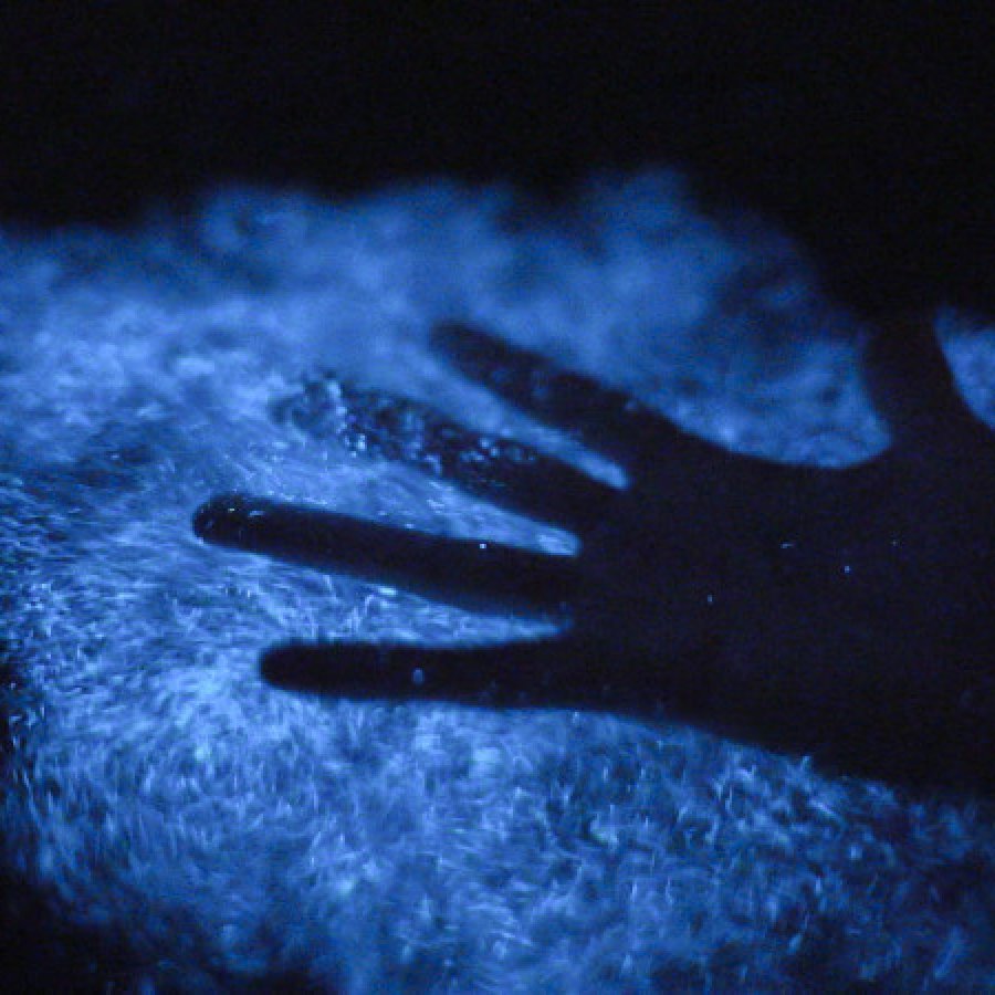 Hand in water at a bioluminescent bay.