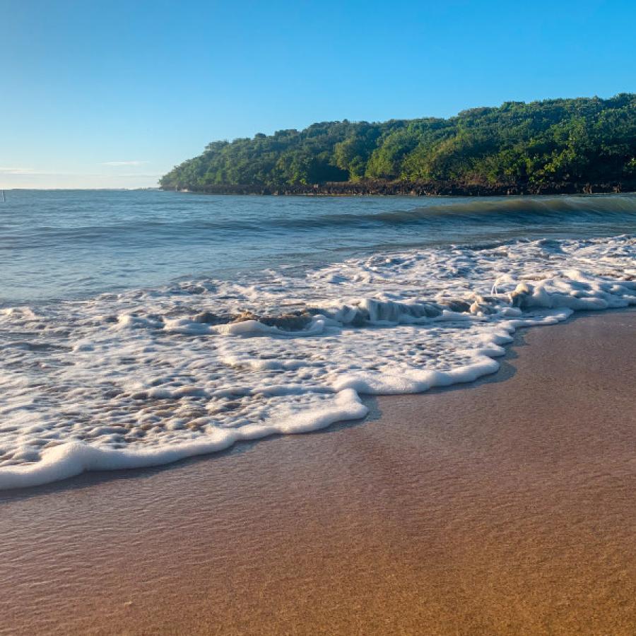 Water washes in the shore of a beach. 