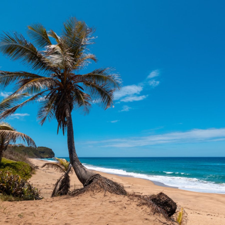 Playa Pastillo