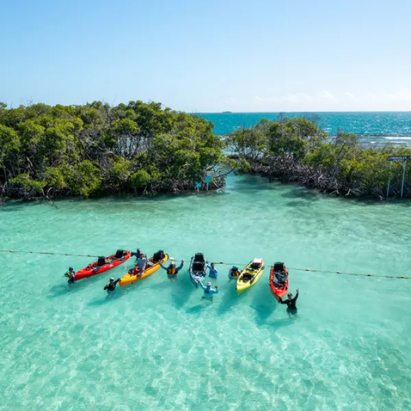 In Puerto Rico, it's easy to find an adventure that adapts to any ability level. 