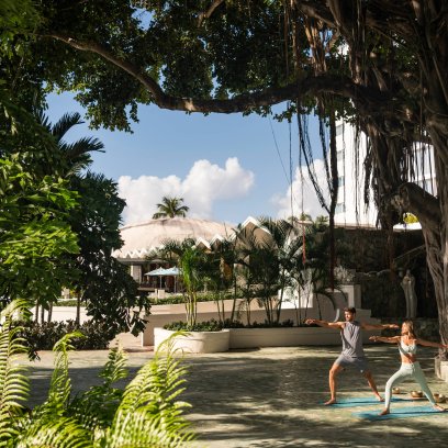 Couple doing yoga under a banyan tree.