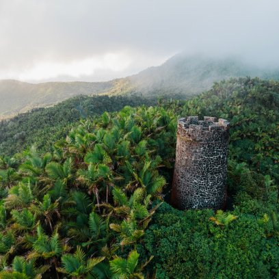 Yocahú Tower rising above the dense tropical forest in El Yunque, surrounded by lush palm canopy and mist-covered mountains in the background.