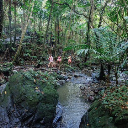 Hikers cross a rocky stream surrounded by lush tropical vegetation along a trail in El Yunque National Forest, Puerto Rico.