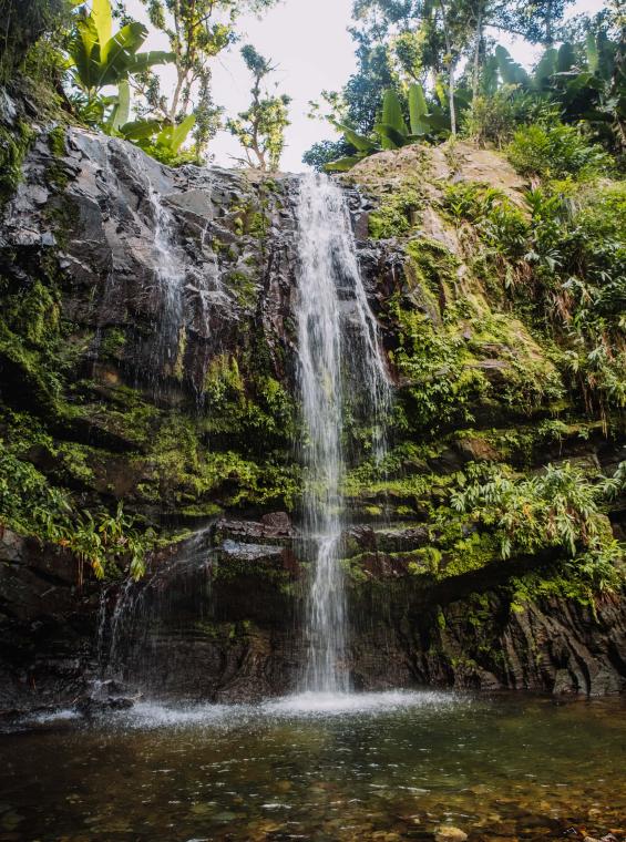 Las Delicias Falls, in the beautiful Tres Picachos State Forest.