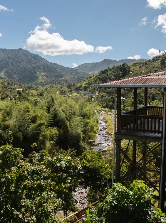 Lush scenery of Puerto Rico