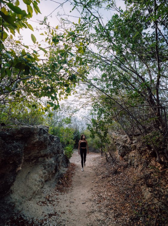 A woman walks through a hiking trail in Guánica's Dry Forest.