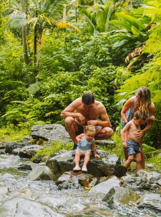 Lush hiking path surrounded by tropical greenery on an El Yunque trail.