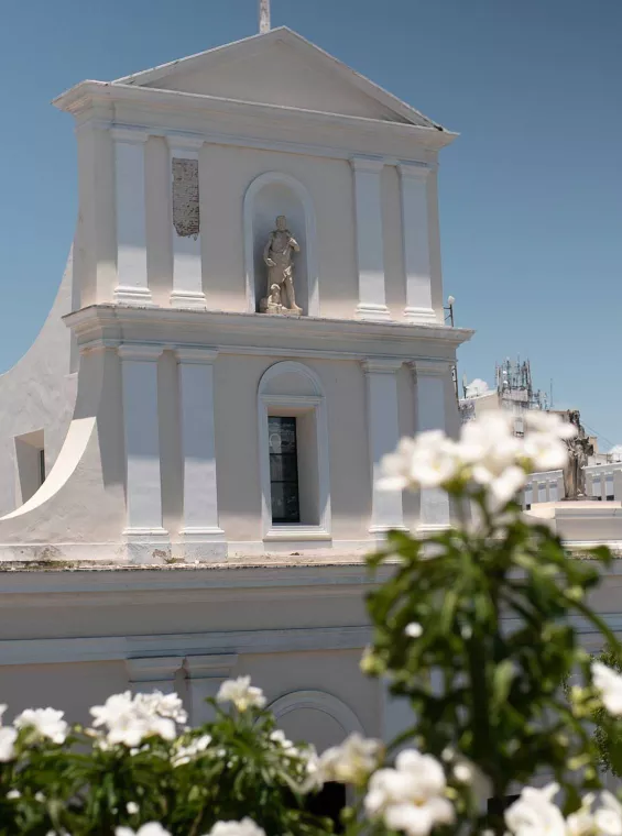 Exterior of Catedral de San Juan Bautista in San Juan, Puerto Rico, with a white flowering tree in the foreground.