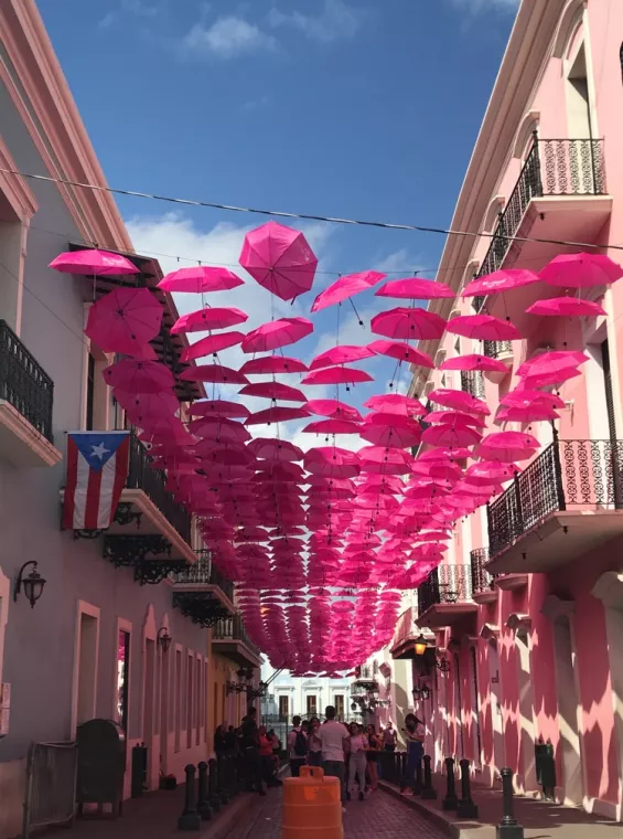 Pink umbrellas adorn this street in Old San Juan, Puerto Rico