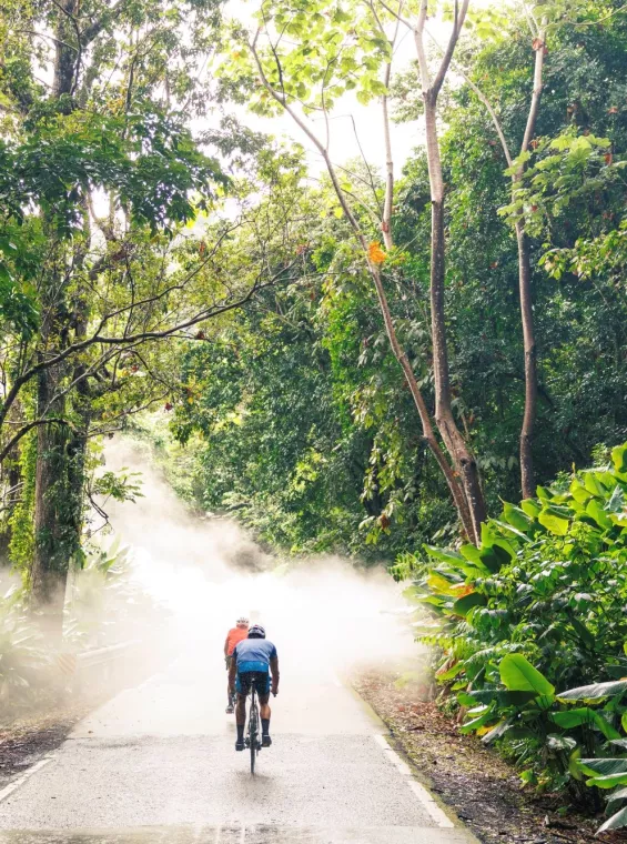 Two cyclists riding along a misty road through the lush rainforest of El Yunque National Forest in Puerto Rico, surrounded by dense tropical greenery.