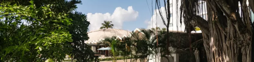 fesj-banyan-tree-yoga-v2-1
