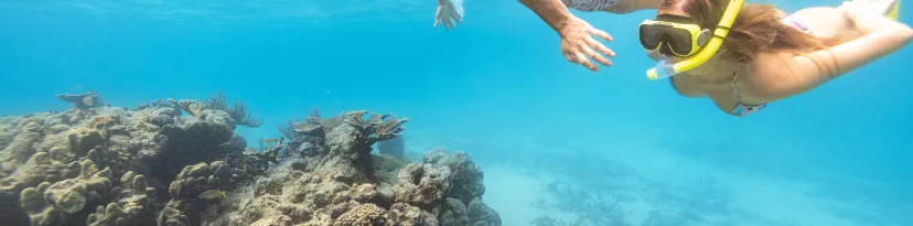 Days of Romance and Fun in Puerto Rico