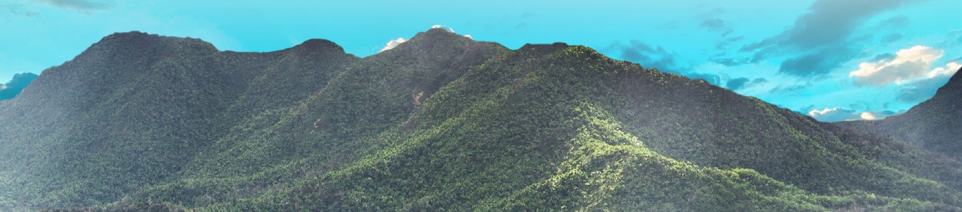 Exclusive Perks for Completing The Green Path Certificate Discover