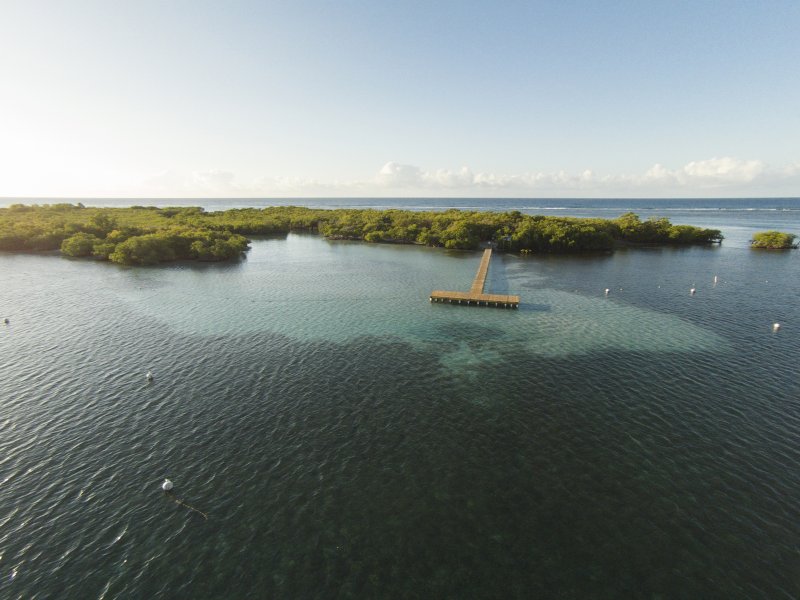 Aerial view of the mangrove island Cayo Aurora, also known as Gilligan's Island.